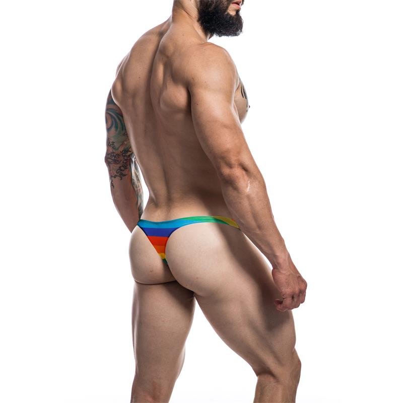C4M03 Classic Thong Rainbow - Image 2