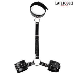 Collar and Wirst Restraints