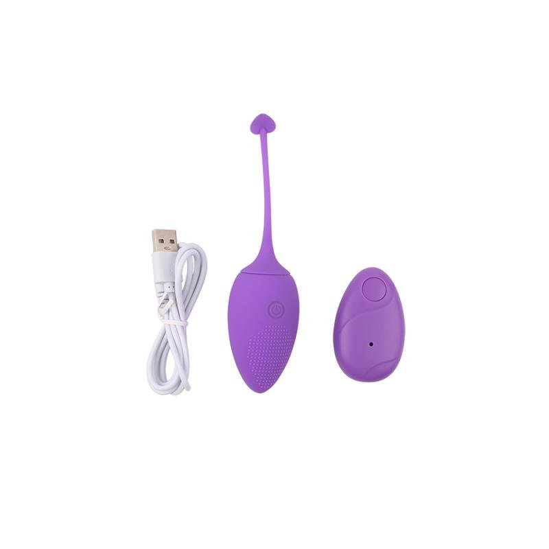 Vibrating Egg Remote Control Sweety Teaser USB 5.7 - Image 5